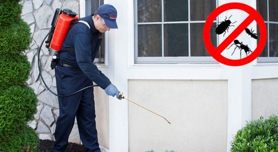 Finike Bit İlaçlama böcek ilaçlama ve haşere kontrolü — ilaclama-tr.com